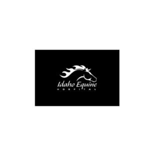 Idaho Equine Hospital logo with a white stylized horse head silhouette with flowing mane and elegant serif text on black background