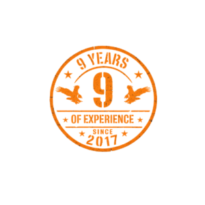 9 Years of Experience badge for Superior Striping, an orange circular grunge-style seal. The top arc reads "9 YEARS," with a large central "9" flanked by eagles. Below this, "OF EXPERIENCE" is printed between stars. The bottom arc displays "SINCE 2017" flanked by stars.